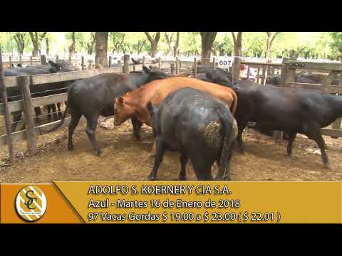 16-01-18 Venta de Hacienda al Kilo - Adolfo S. Koerner y Cia S.A. - Azul.