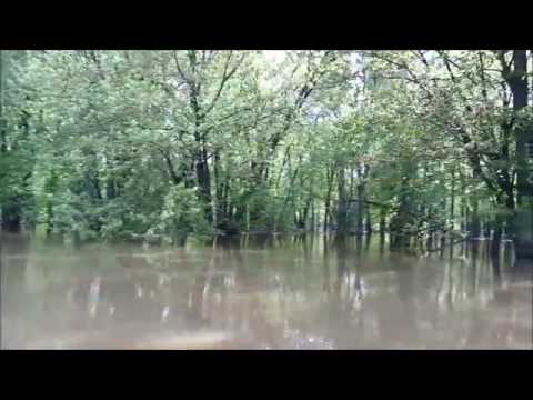 High Water in the Shiawassee Flats Part One