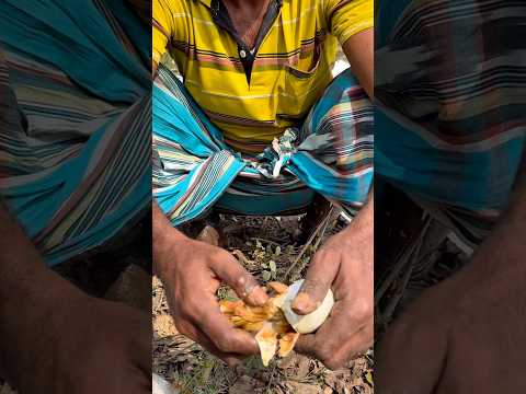 ফা’র্মের ফেলে দেওয়া ডি’ম থেকে হাঁসের বাচ্চা সংগ্রহ করে ৫০০ হাঁ’সের মালিক #agriculture #farming