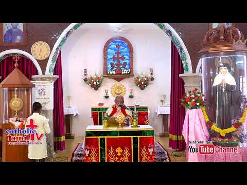St.Alphonsa festival Holy Qurbana Mar George Rajendran Bishop of Thuckalay