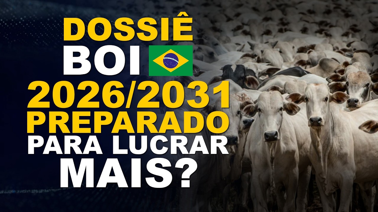 DOSSIÊ BOI BR 2026/2031: PREPARADO PARA LUCRAR MAIS?