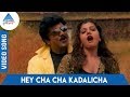 Janakiraman Tamil Movie Songs Hey Cha Cha Kadalicha Video Song Sarath Kumar Rambha Sirpy