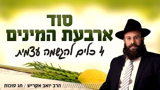 סוד ארבעת המינים - 4 כלים להגשמה עצמית | חג הסוכות (הרב יואב אקריש) - התמונה מוצגת ישירות מתוך אתר האינטרנט יוטיוב. זכויות היוצרים בתמונה שייכות ליוצרה. קישור קרדיט למקור התוכן נמצא בתוך דף הסרטון