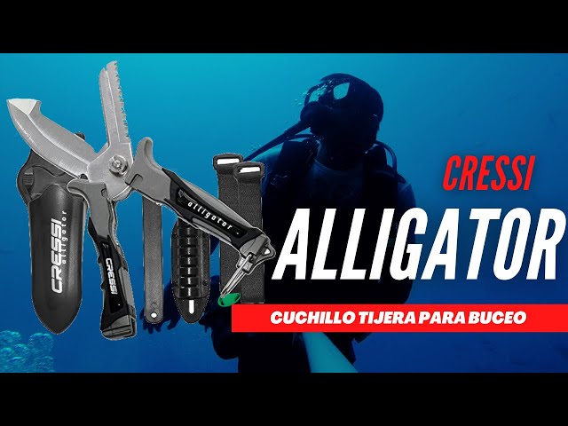Vídeo relacionado con Cressi Mamba Knife-Cuchillo de Buceo para Adultos, Diseño Fino y Afilado, Hoja de Doble Corte Liso/Serrado en Acero Inoxidable 4Cr14 de 7cm, Funda con Cordón/Cierre de Seguridad