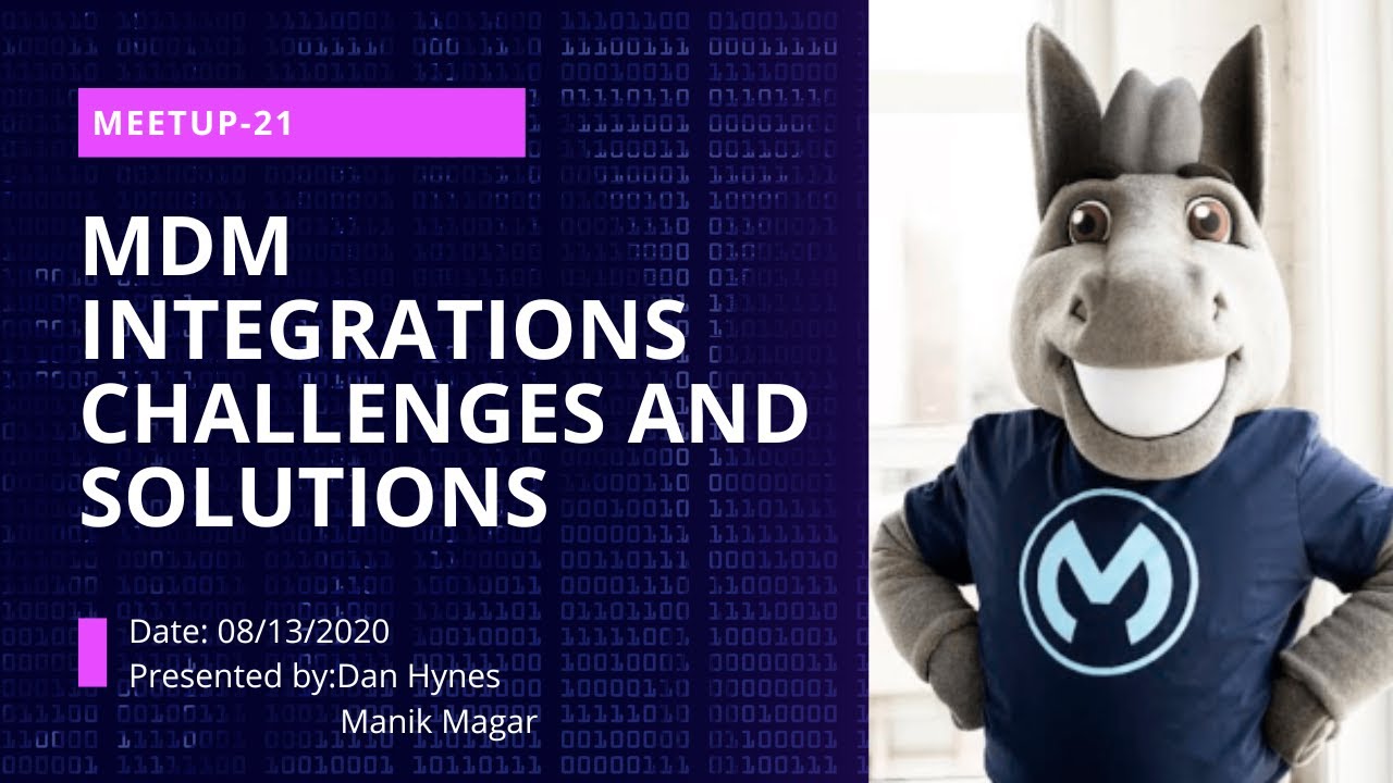 Master Data Management Integrations - Challenges and Solutions