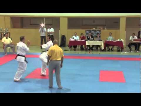 Napierala vs. Banfic - VIENNA OPEN - Erstes offenes internationales Kyokushin-Kan Karate Turnier