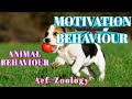 MOTIVATION BEHAVIOUR ACF ZOOLOGY Animal Behaviour UPSC ZOOLOGY Neet Zoology RpscZoology