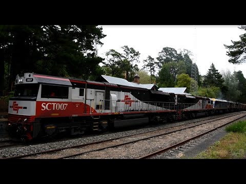 SCT Logistics 5PM9 SCT007 SCT003 EL55 CSR002 SCT015 and 2MP9 SCT010 SCT011 16th November 2021