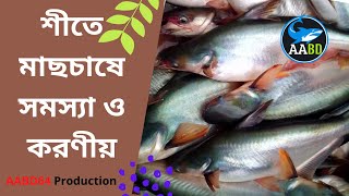 শীতে মাছের পরিচর্যা