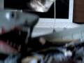 Jaws Toy