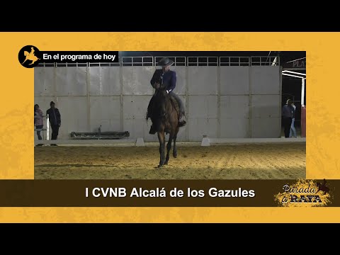 Parada a Raya. Programa 102