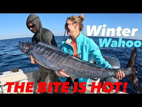 UNBELIEVABLE WAHOO FISHING! Northeast Florida 