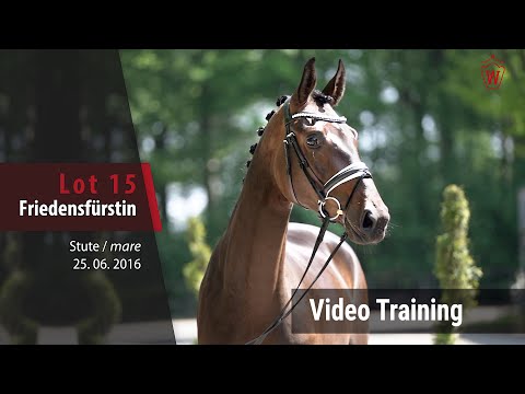 15 Friedensfürstin v. Fürstenball - Sir Donnerhall I_Trainingsvideo