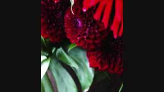 CAT POWER  I dont blame you