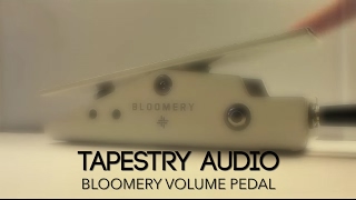 Video thumbnail for Tapestry Audio Bloomery Volume Pedal Guitar Effects Pedal Demo by Pedal of the Day