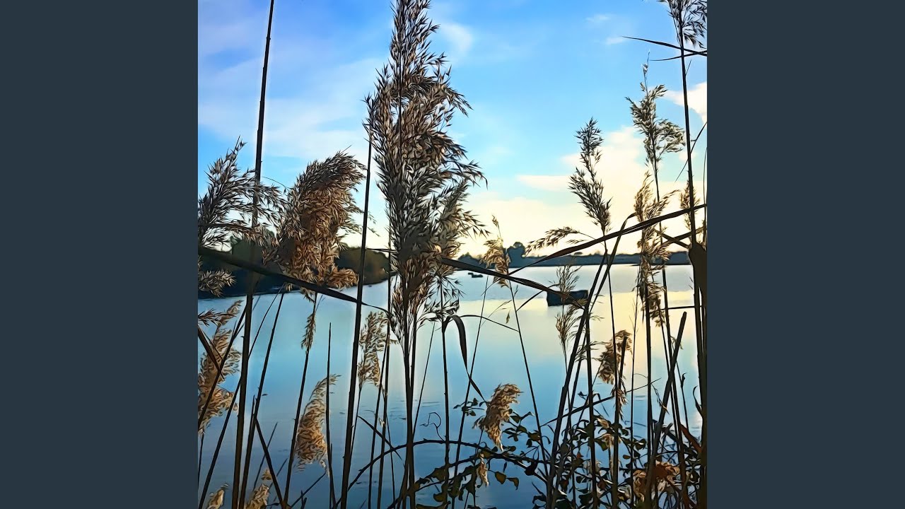 Contemplating the Sky