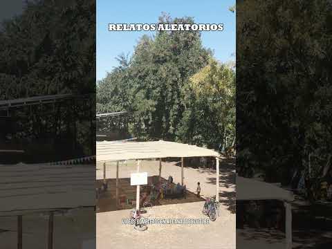 DRONE FERIA DE CHINA MUERTA PLOTTIER NEUQUÉN