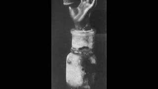 Muteual Mortuary - Hateless Insanity