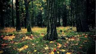 Empyrium - The Shepherd and the Maiden Ghost.