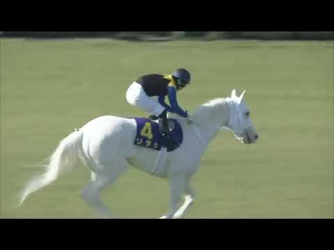 2021.04.11 Oka Sho (Japanese 1000 Guineas) - Sodashi