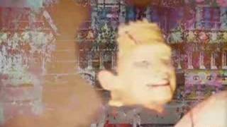 Animal Collective: Winters Love