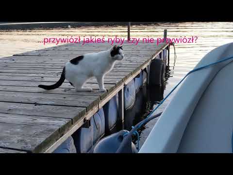 Ostatnia zatoka jez. Lubie, motorówka kabinowa "ROMANA 430" + "HONDA BF 15"