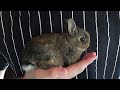 youtube thumb