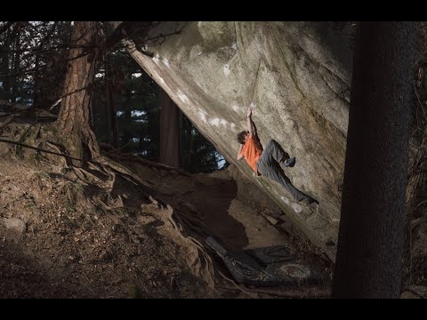 Giuliano Cameroni: Two V16 FA