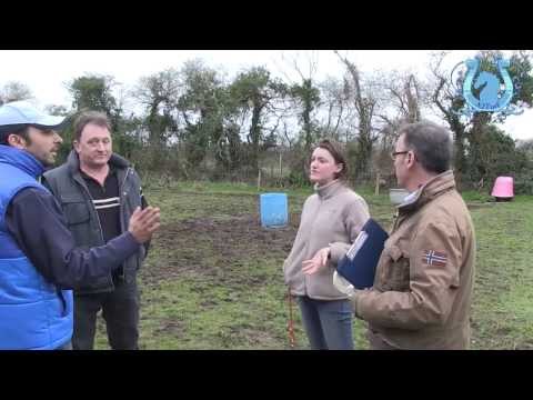 ZAPPING A2TURF Février 2014, 2e partie - A2TURF.COM