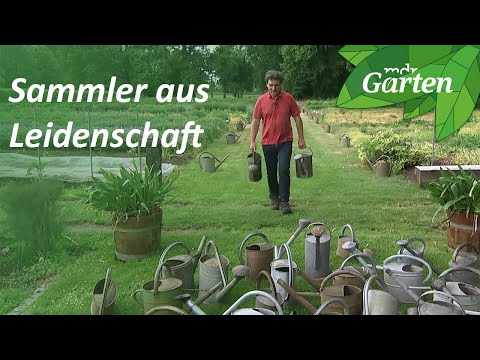 A zinc can collector from southern Brandenburg | Passion for collecting | MDR Garden