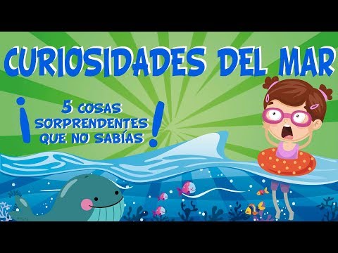 5 COSAS QUE NO SABÍAS DEL MAR | CURIOSIDADES FASCINANTES PARA NIÑOS