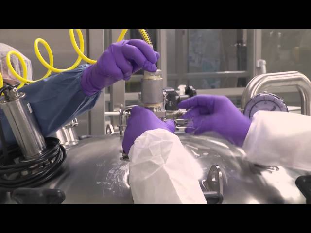 Understanding Bioprocessing: The Recovery Phase in Biotechnology ...