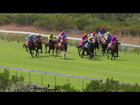 20221022 Hollywoodbets Kenilworth Race 1 won by KING REGENT