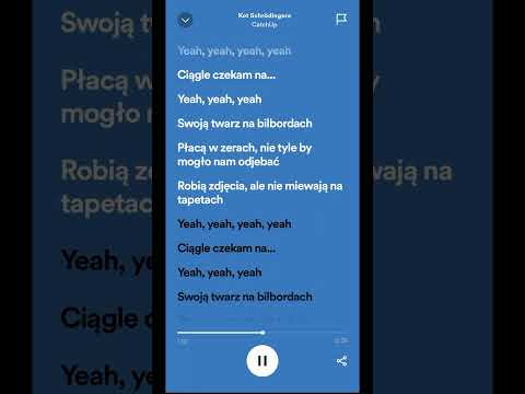 KARAOKE (sam beat) CatchUp feat  bambi   Kot Schrödingera