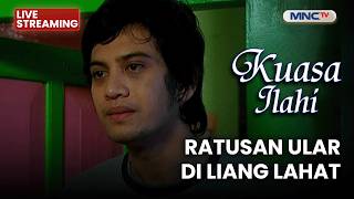 Download lagu 🔴RATUSAN ULAR DI LIANG LAHAT  | LIVE KUASA ILAHI | 3 MEI  2026 mp3