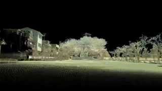 preview picture of video '牛岐城址公園 3Dレーザースキャナー　Cattle ushiki ruins park 3D laser scanner'