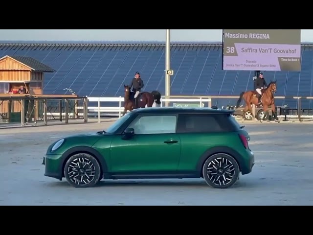 TOP JUMENT CSO 7 ANS