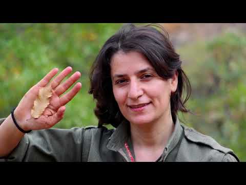 Bermal Çem   Can Bedran