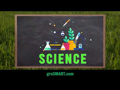 First Fix Your Soil!