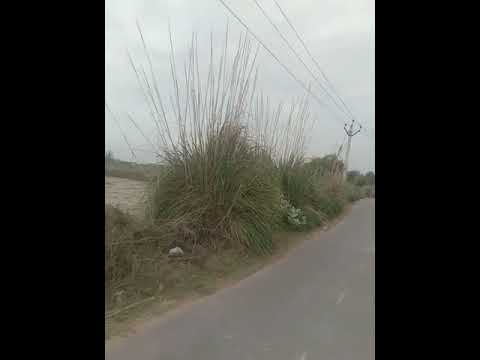  Residential Plot 1600 Sq. Yards for Sale in Lal Bangla, Kanpur