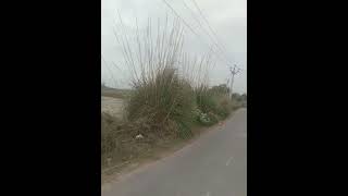  Residential Plot for Sale in Lal Bangla, Kanpur