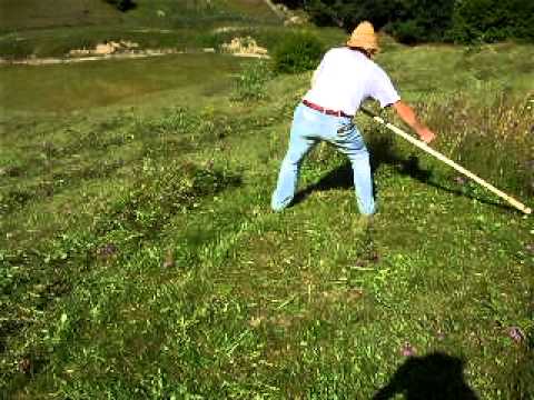 LA COSIT IARBA IN ARDEAL