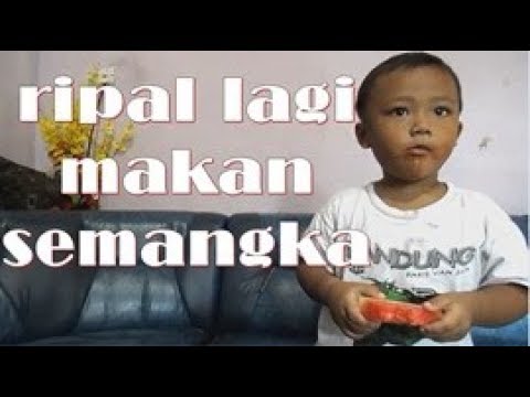 ripal lagi makan semangka