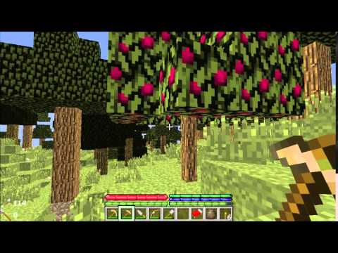 TerraFirmaCraft Season 1 Episode 33 - Sand and Squid