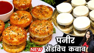 इस आसान तरीके से बनाये 5 स्टार होटल वाला पनीर कबाब  | PANEER Kabab Recipe | Veg Paneer Kabab Recipe