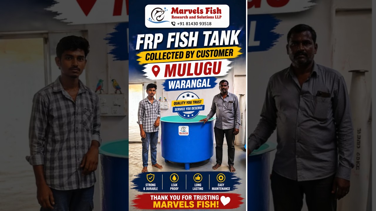 FRP Fish Tank Customer Pickup