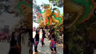 Download lagu Aksi Atraksi Singa Barong Niko Putra #shorts #videoviral mp3