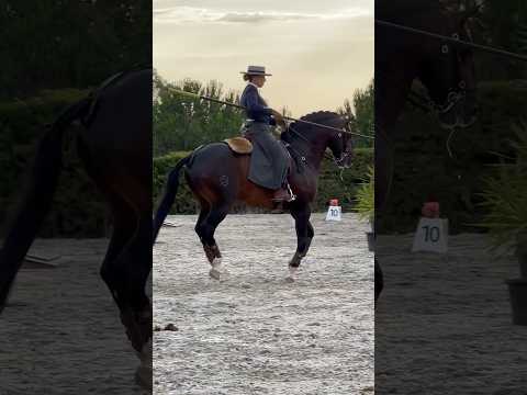 Working Equitation Portugal Lusitano Isco & Mafalda Mendes 🔝Santarém 2023