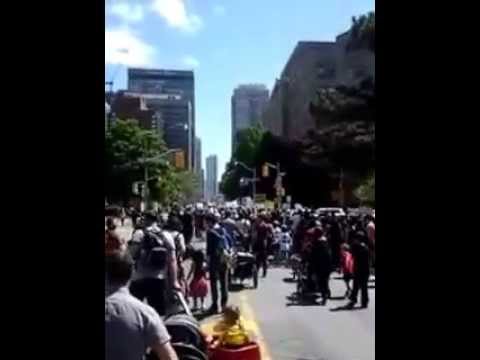 Requiem for Bees May 24, 2014 Toronto