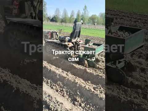 фото гусеничный трактор 0